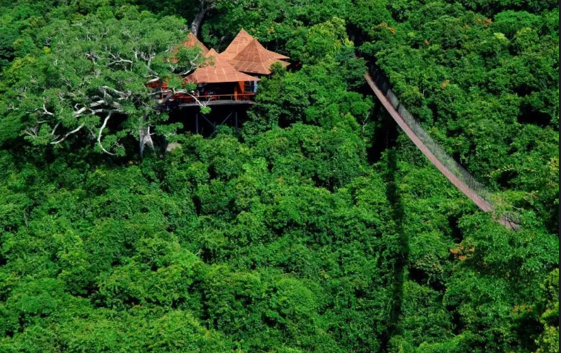 微信图片_2025-12-13_121347_307