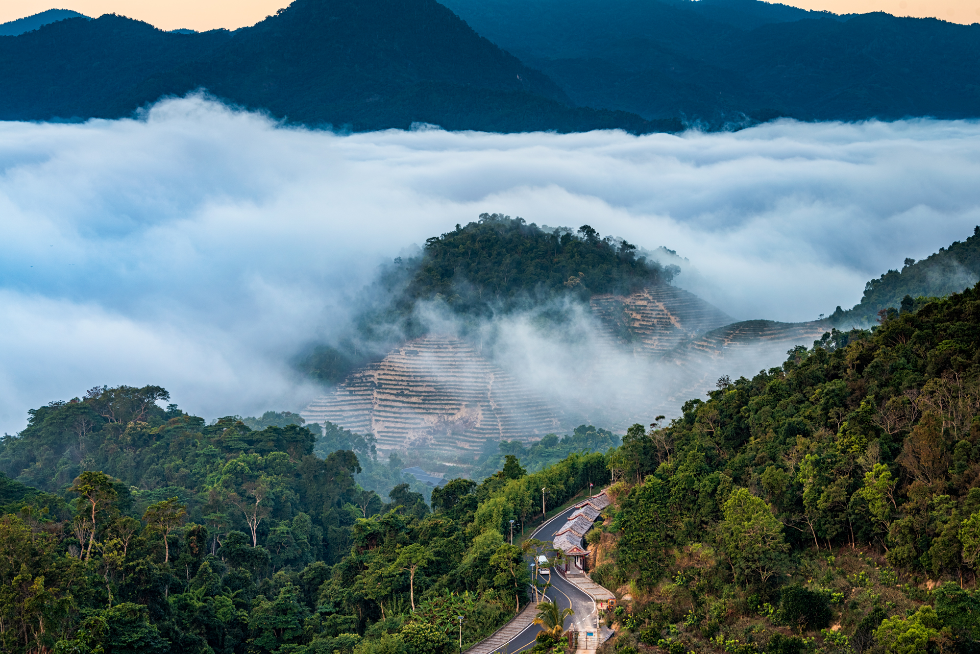 ChenGuoMin        18996004789