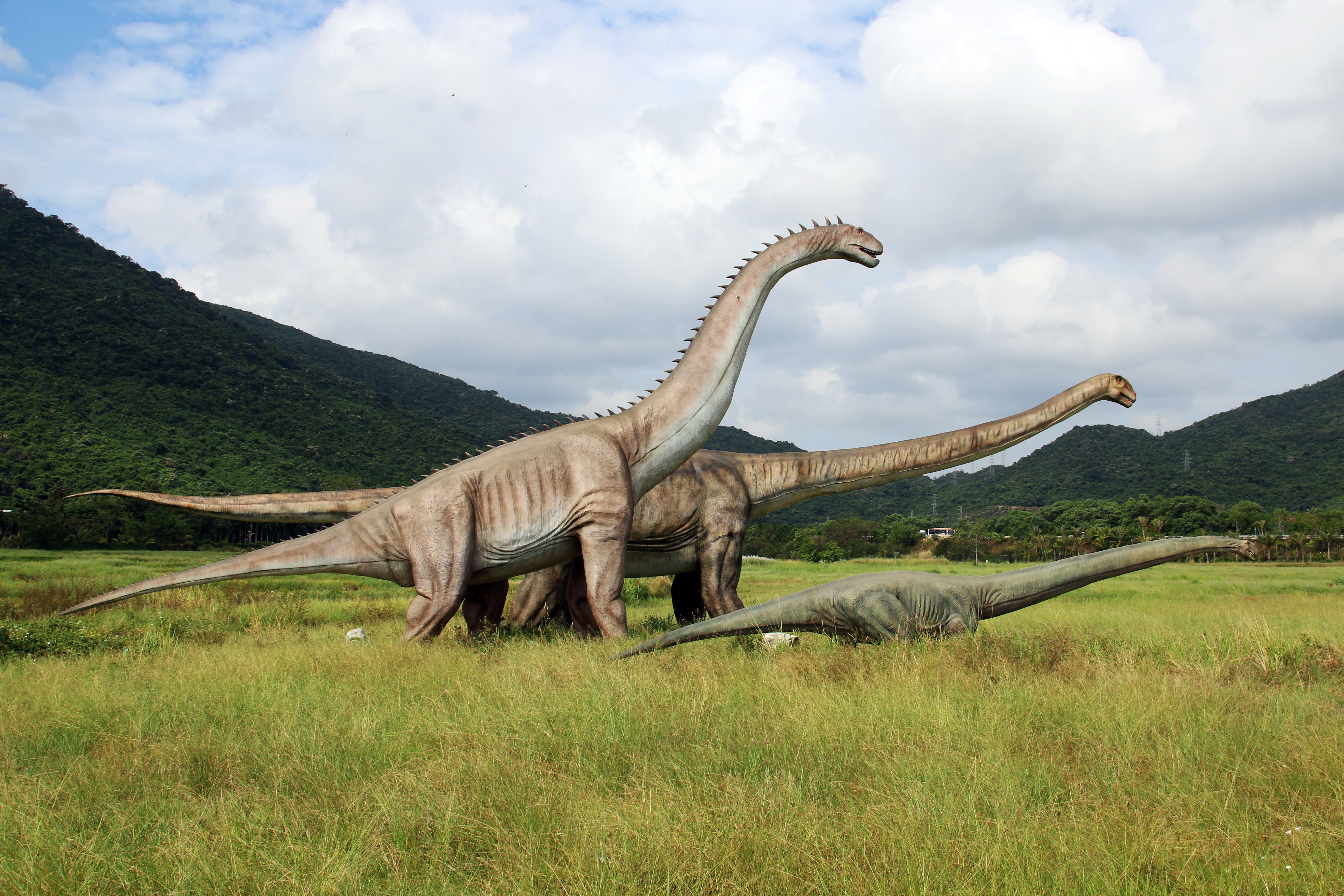 微信图片_20210527103523