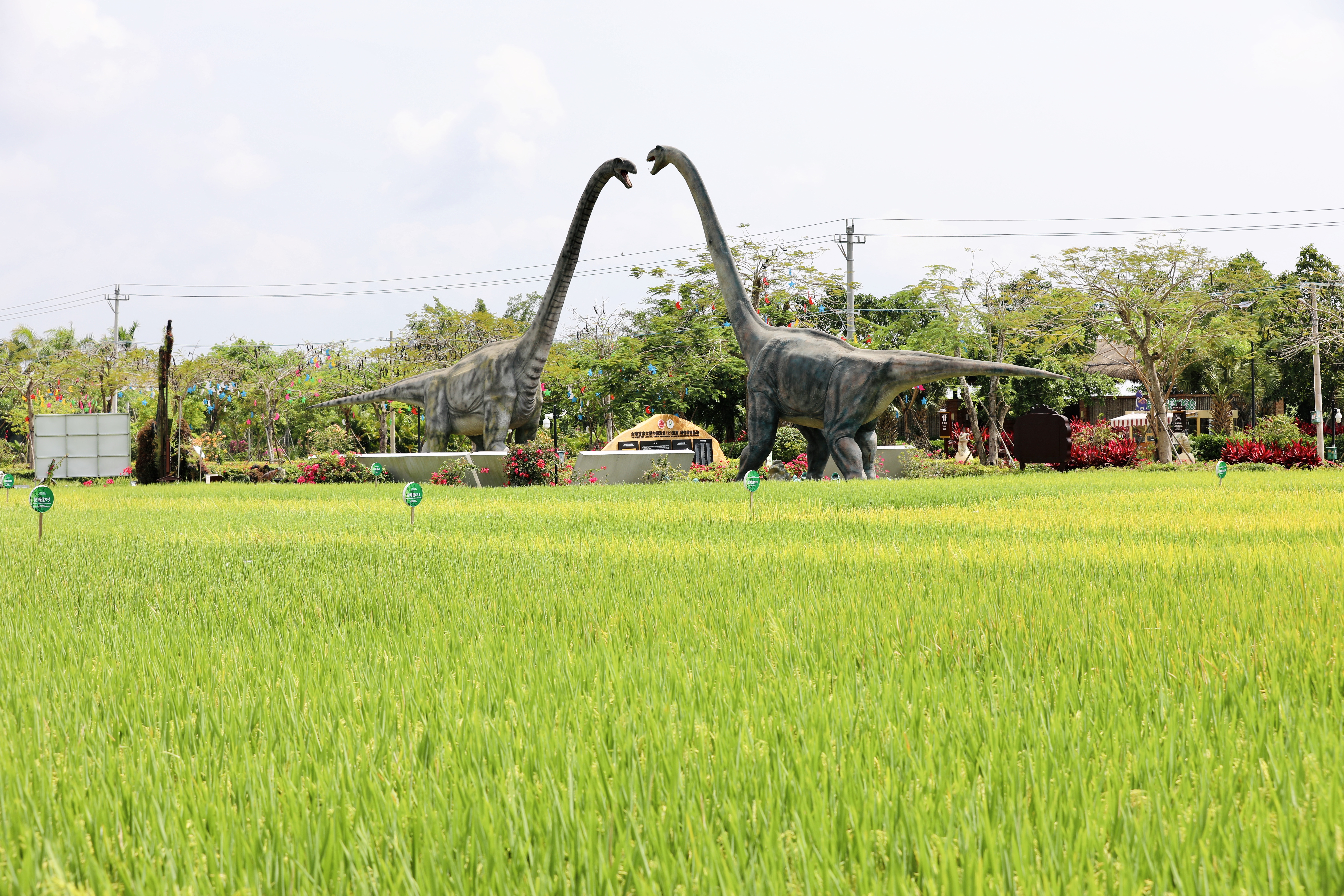 微信图片_20210527103620