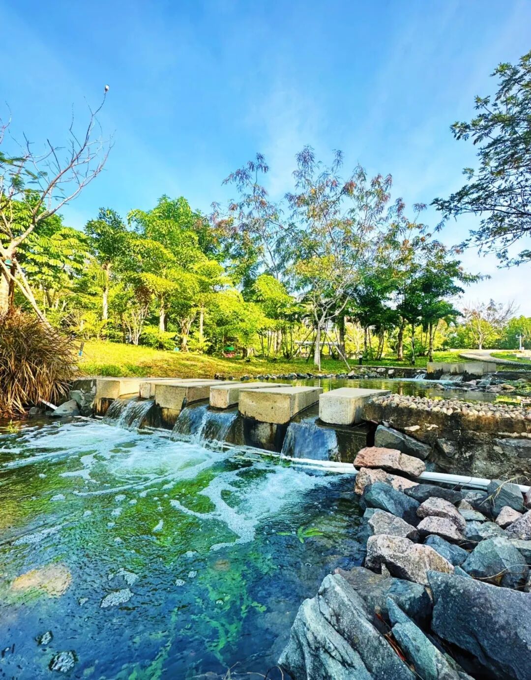 微信图片_2026-03-12_135753_214