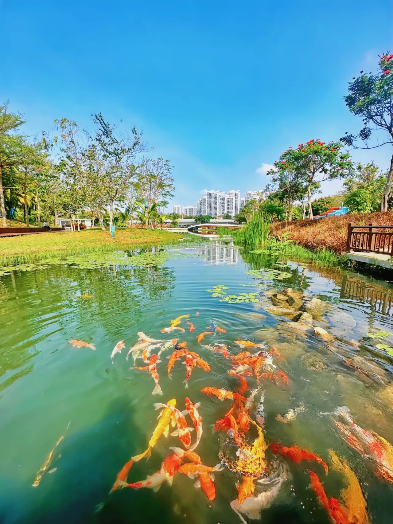 微信图片_2026-03-12_135816_544