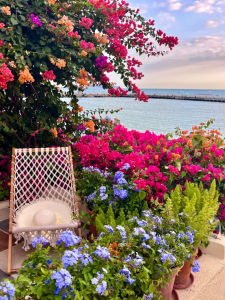 111微信图片_2026-03-17_162831_373