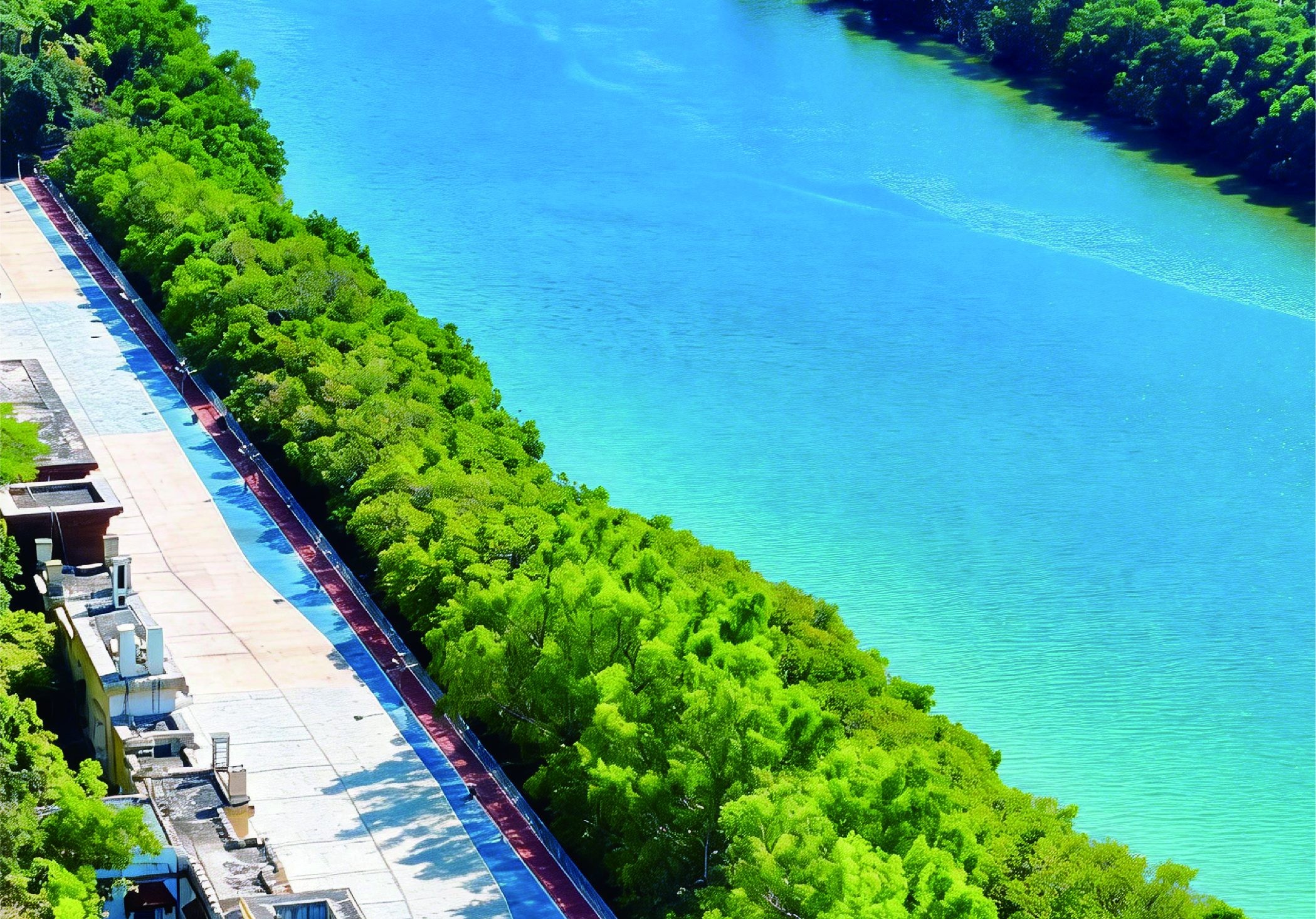 吉阳区 临春河东侧绿道