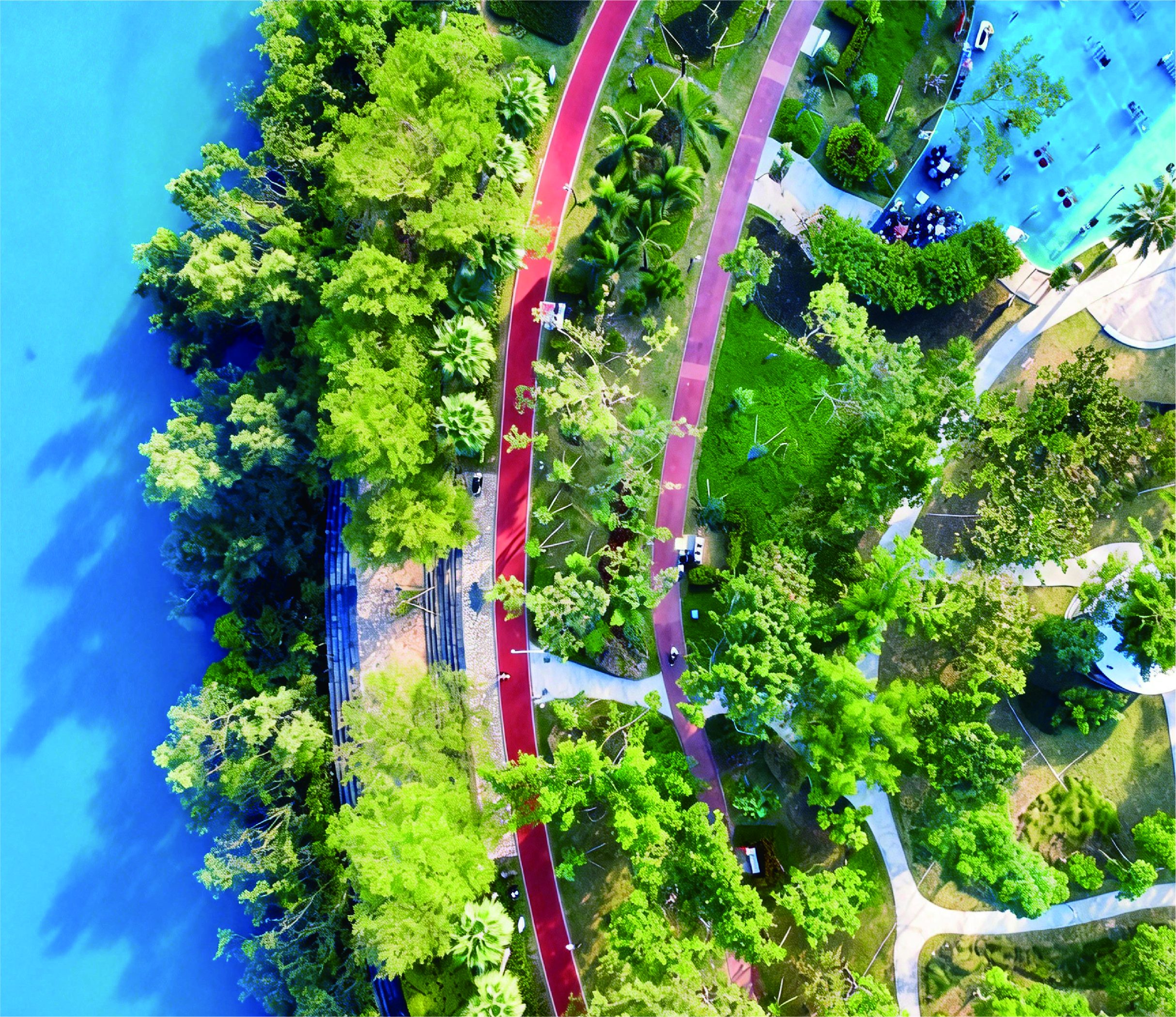 吉阳区 红树林生态公园绿道