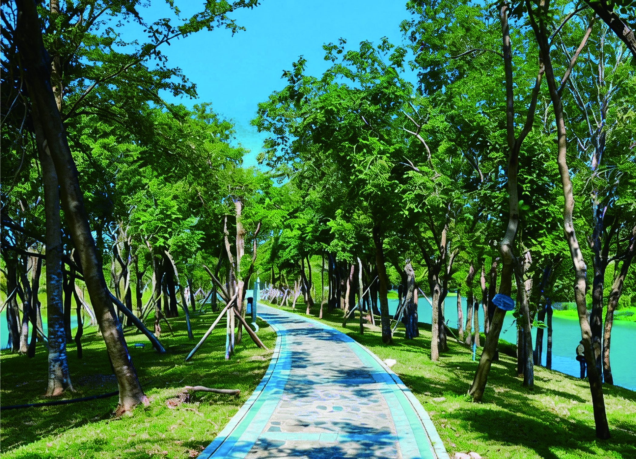 吉阳区 抱坡溪湿地公园