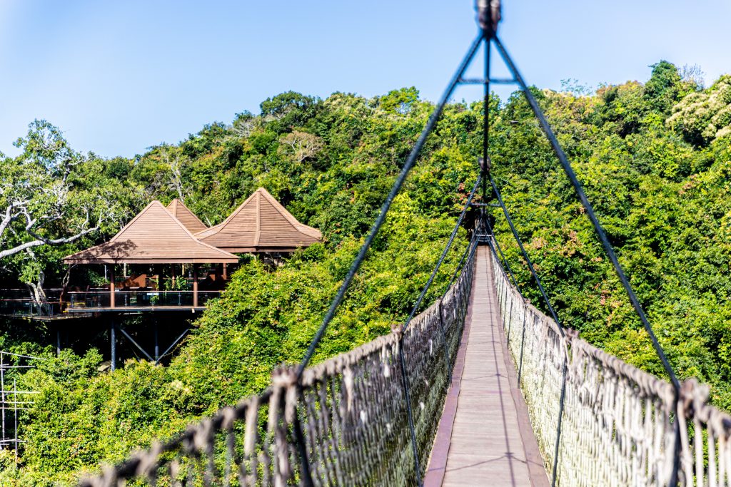 亚龙湾热带天堂森林公园旅游区·过江龙索桥