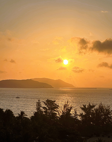 7285037dgy1hcvlcth1ysj22c0340u0x