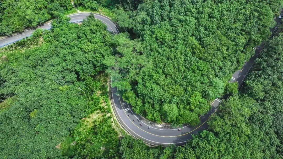 微信图片_2026-04-03_100251_415