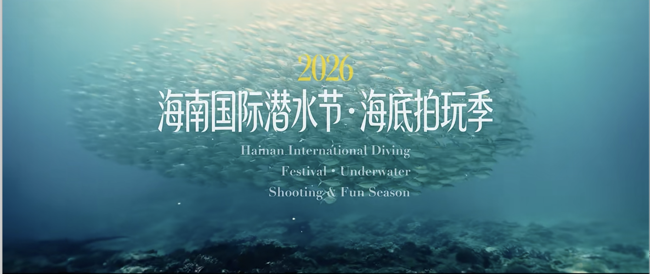 截屏2026-04-17 15.58.33