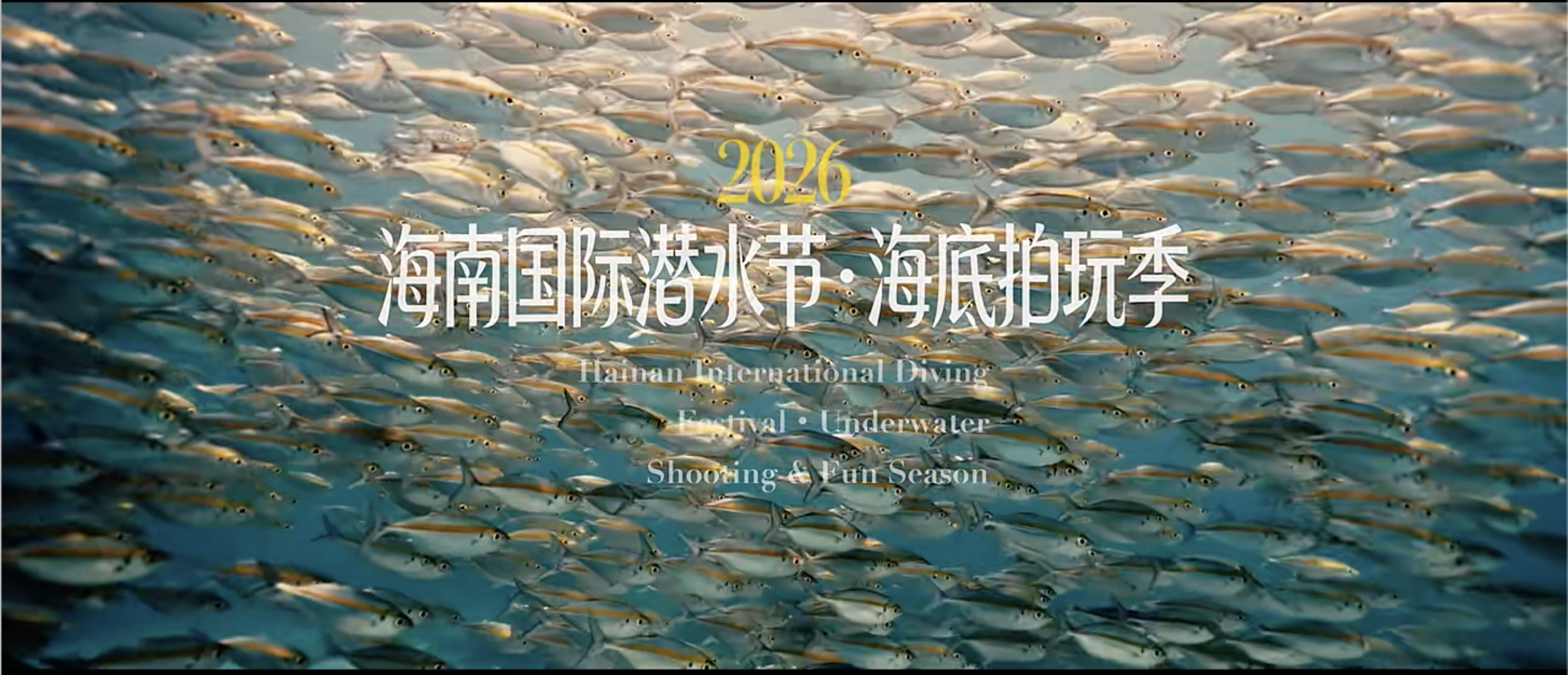 截屏2026-04-17 15.58.40