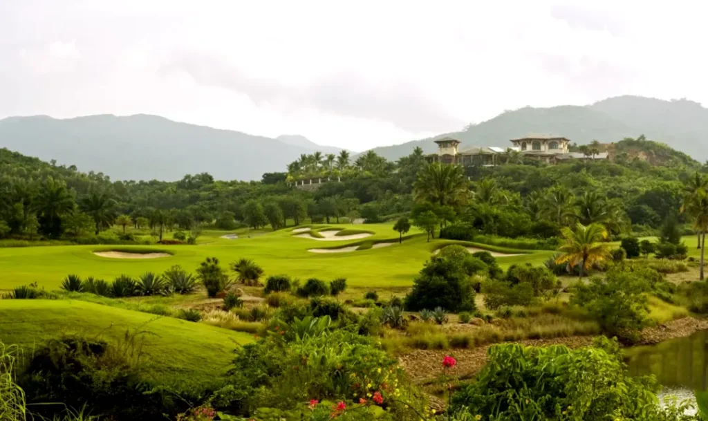 A Richly Varied Landscape