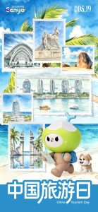 三亚五大行动