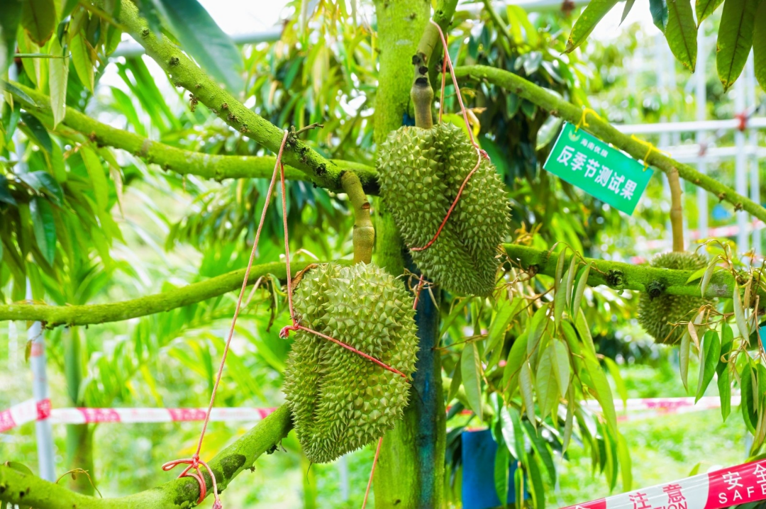微信图片_2026-09-17_224434_735